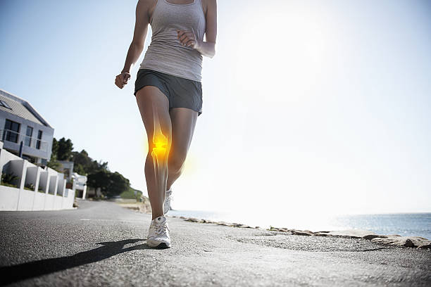 Bone and knee joint health