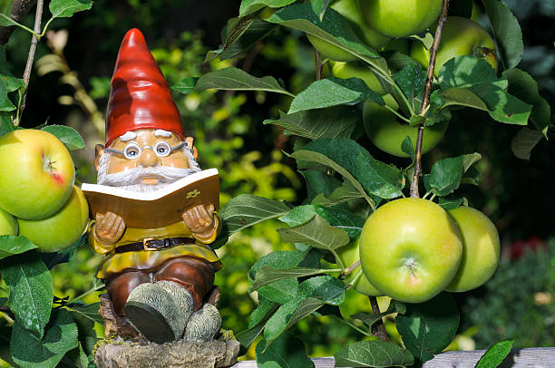 garden gnome reading a book on the nutrition myths while surrounded by apples