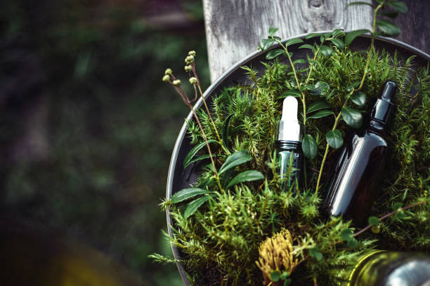 Herbs for hair growth surrounded by other herbs