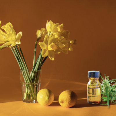 alternative treatments using daffodils