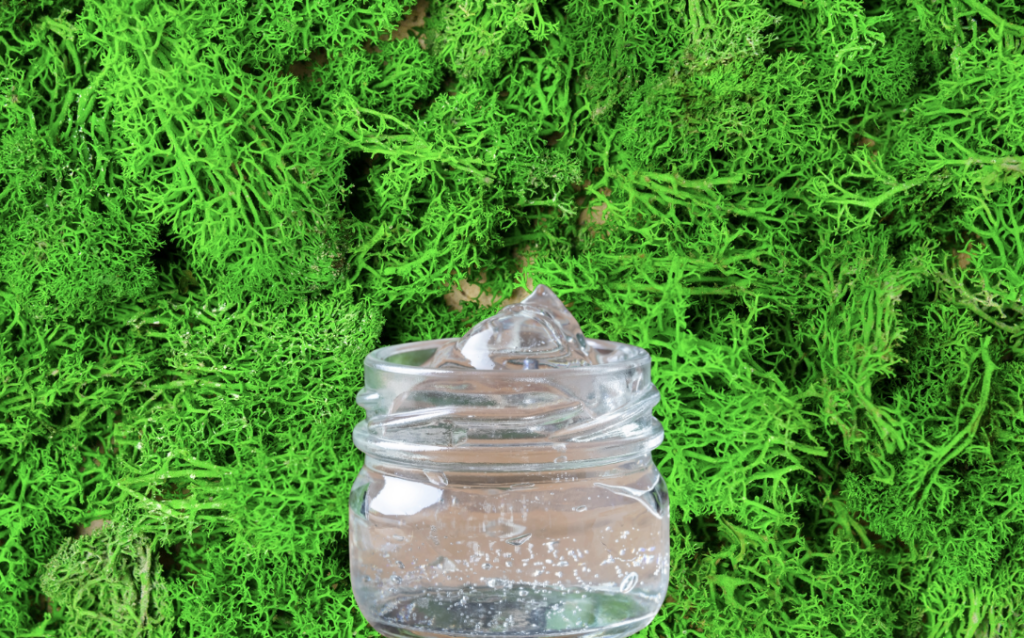 Sea moss gel benefits