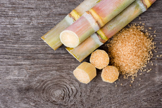 Pros and cons of using different types of sugar in kombucha brewing