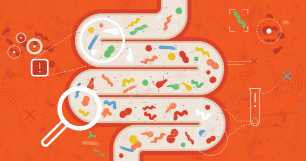 Understanding the Gut Microbiome