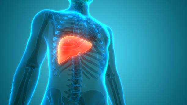 liver cancer