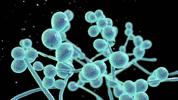 Fungal infection