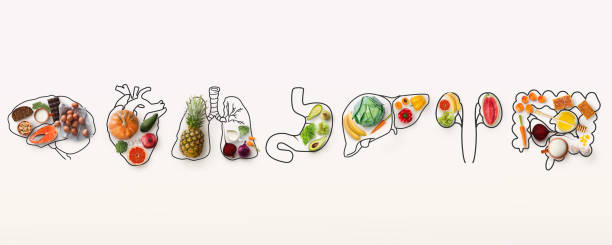 Different foods, in different organs, that lowers the risk of growing cancerous tumors