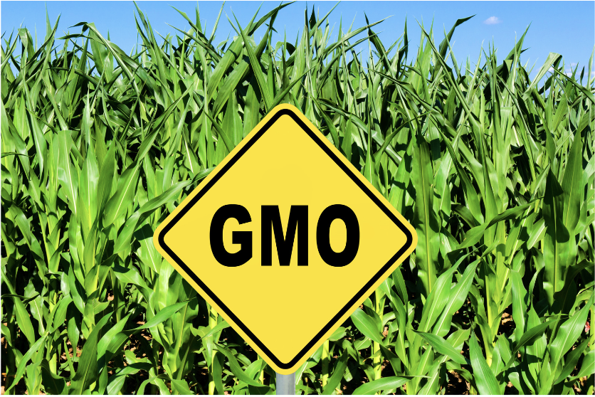Genetically-Modified Organisms (GMOs)