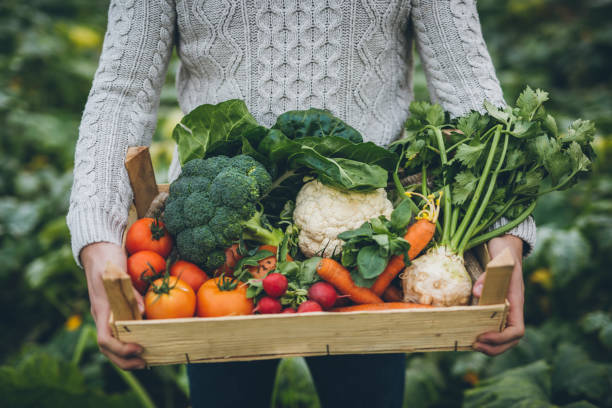 Organic food in a basket
