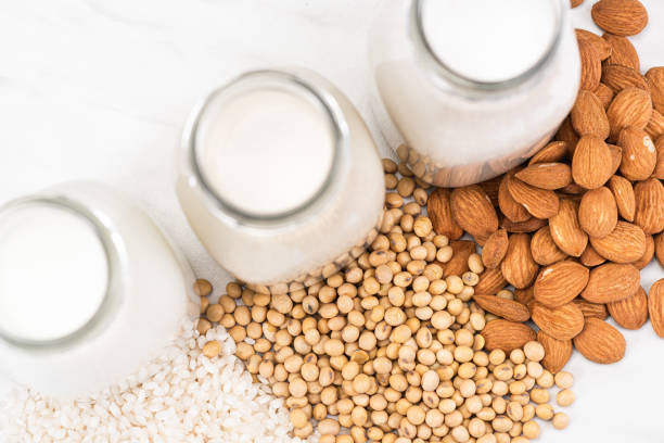Types of Lactose Substitutes Available