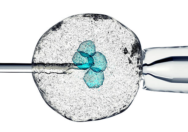 The Procedure and Immediate Post-Treatment Period of stem cell therapy