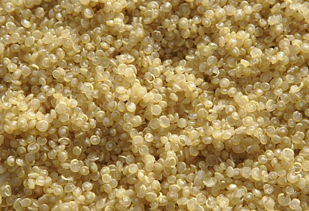 Can quinoa be used instead of rice?