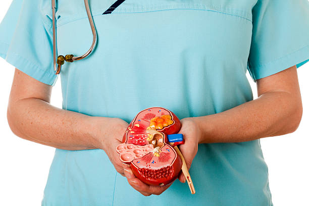 Risks of High Oxalate Intake
