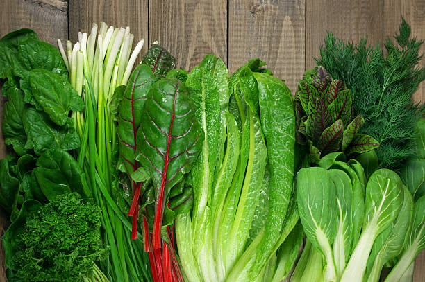 Nutrient Powerhouses for Hormone Support