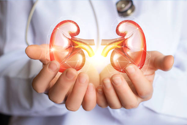 best superfoods for kidney health