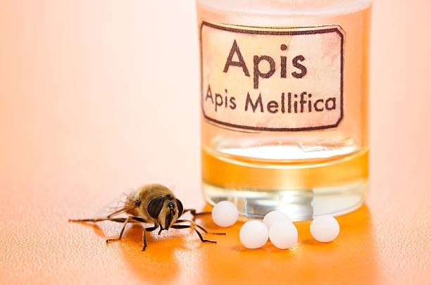 Apis Mellifica: Soothing Inflammation and Swelling