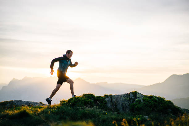 When the lymphatic system works well, metabolic waste products are eliminated from cells, maximizing their performance