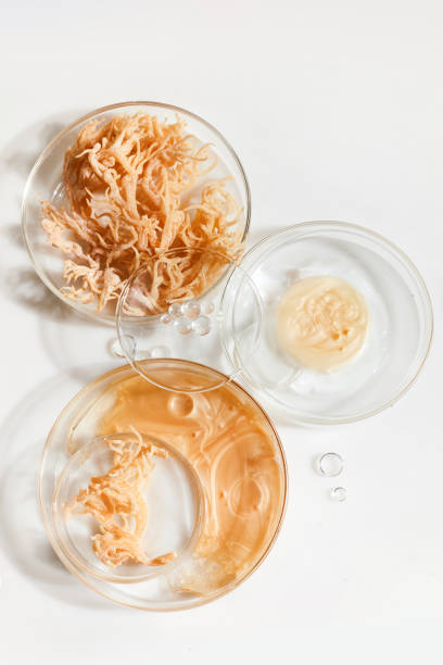 How to Make Sea Moss Gel