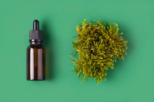 Sea Moss Gel in Skincare and Beauty Products