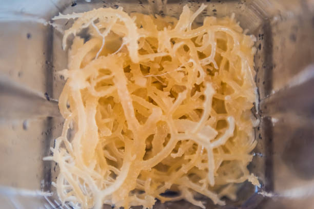 Ways to Incorporate Sea Moss Gel into Smoothies