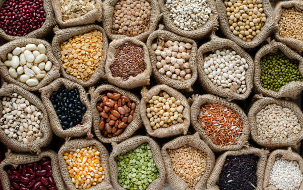 other plant-based protein source