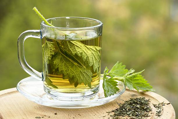 Nettle Tea and Its Natural Antihistamine Effects