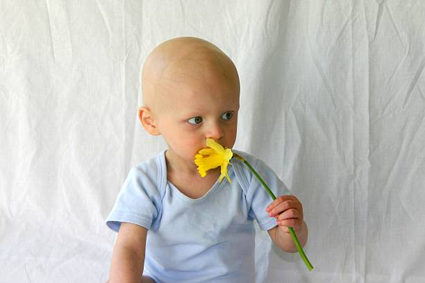 Different Types of Alternative Treatments Using Daffodils
