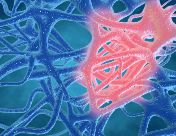 closer look at inflammation