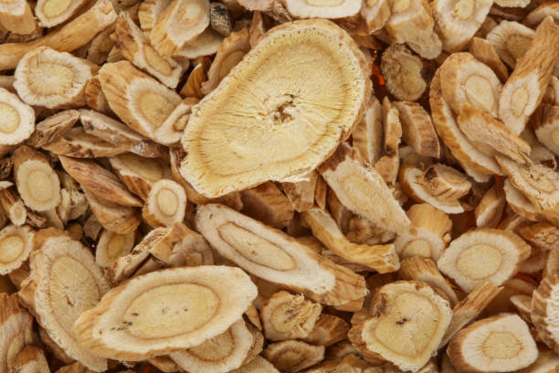 Different types of ginseng