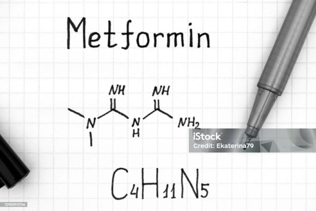 Natural Metformin Replacements
