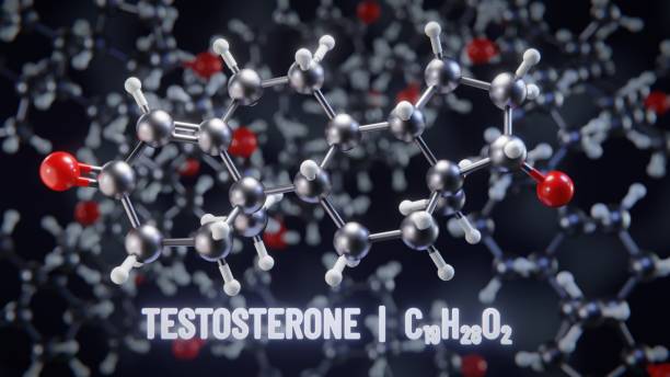 Does Inflammation Reduce Testosterone