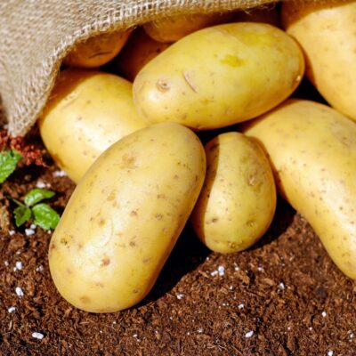potatoes is it a vegetable or not vegetable