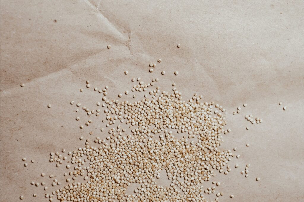 quinoa as a protein source