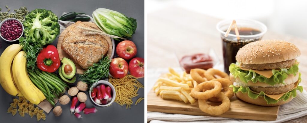 whole foods vs processed foods