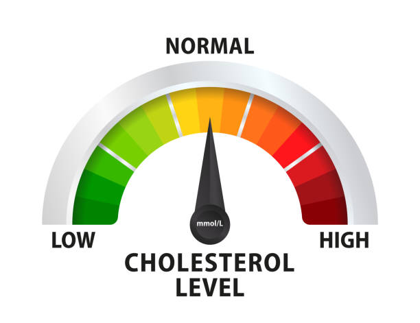 Asparagus and Its Impact on Cholesterol Levels