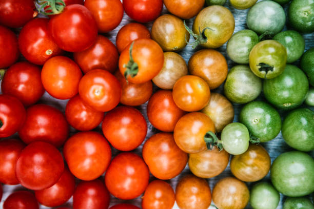 Other Factors to Consider When Assessing the Impact of Tomatoes on Inflammation