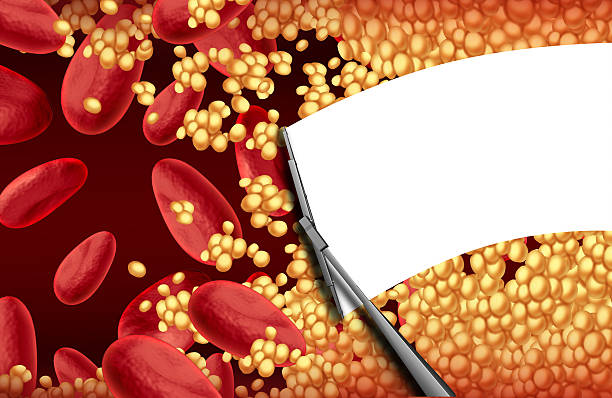 Studies and Research on Joint Supplements and Blood Thinning