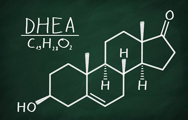 Supplements and Herbs for Improving Egg Quality