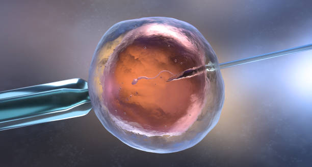 Fertility Treatments and Procedures to Consider