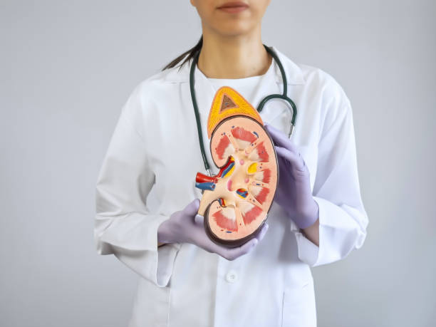 Monitoring Kidney Function for Metabolic Kidney Diseases