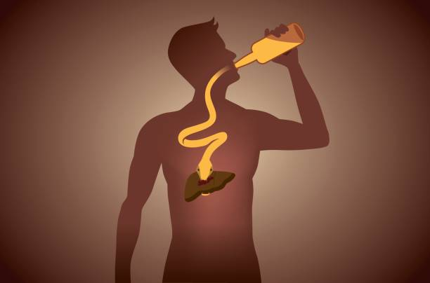 Effects of Alcohol on the Liver