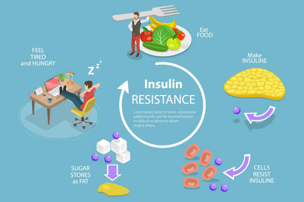 Understanding Insulin Resistance and Type 2 Diabetes