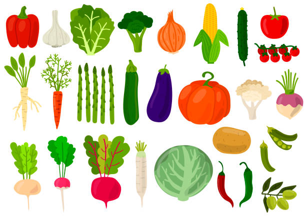 Nutritional Powerhouses: Vegetables Rich in Vitamins and Minerals