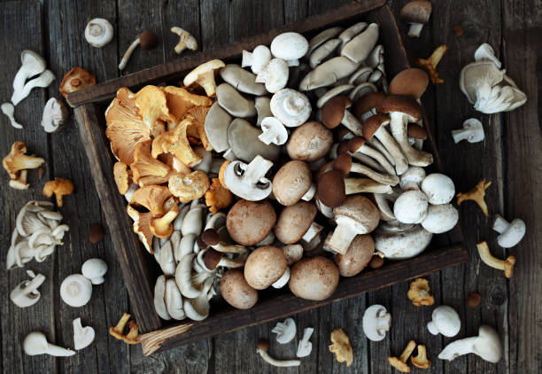 Essential Herb Pairings for Mushrooms