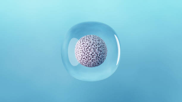 Diet and Nutrition for Healthy Stem Cells