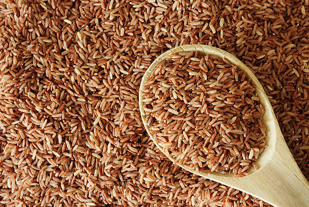 Brown Rice - The Nutritional Powerhouse