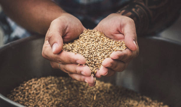 Alternatives to Brown Rice