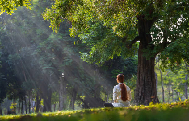 Precautions to Take Before Starting a Meditation Practice