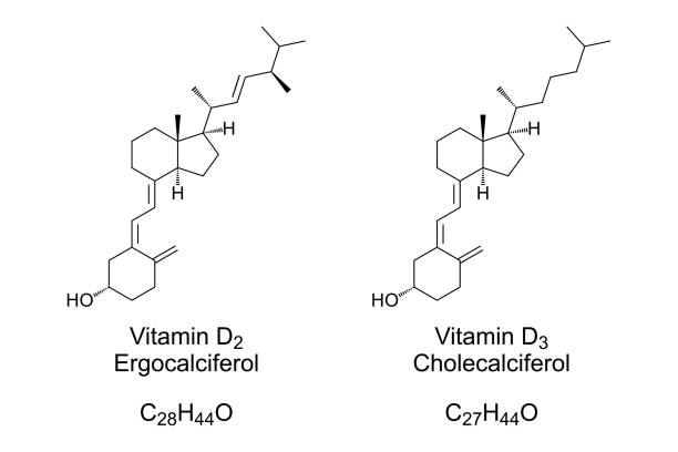 Differences Between D2 and D3 Vitamins