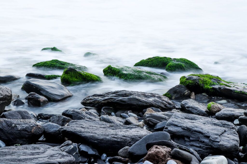 When Is The Best Time To Take Sea Moss Gel