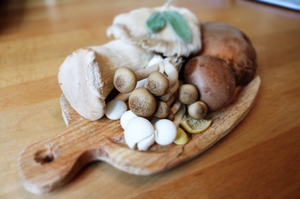 different medicinal mushrooms